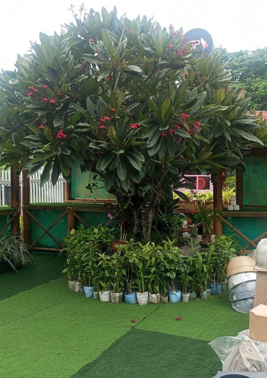 Nursery greenery at Karmayog Vatika